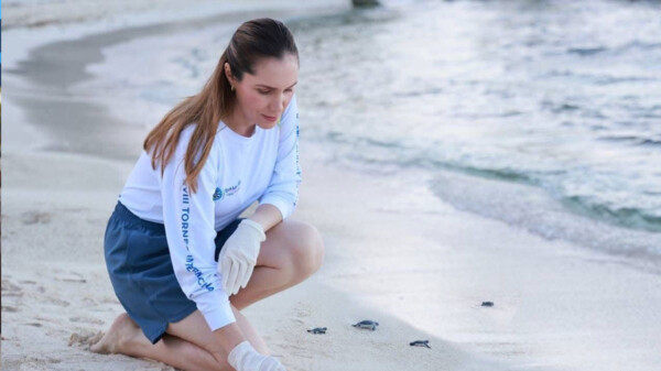 Isla Mujeres continua siendo líder en la protección, cuidado y conservación de la Tortuga Marina