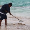 Gobierno de Isla Mujeres atiende con inmediatez recale atípico de sargazo en Playa Norte