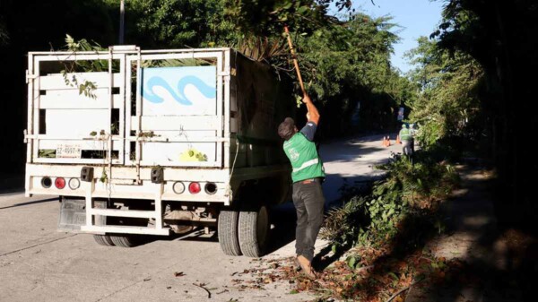 Atiende Ayuntamiento de Puerto Morelos colonia Las Palmas con jornada "Chuleando tu Colonia"