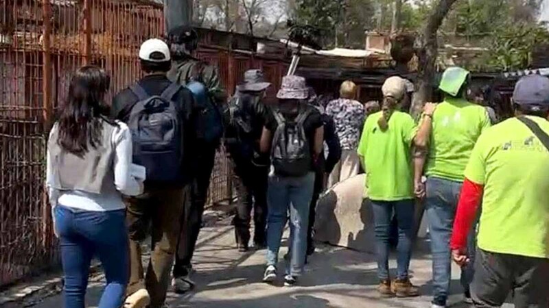 Perritos del Refugio Franciscano recuperan su terreno
