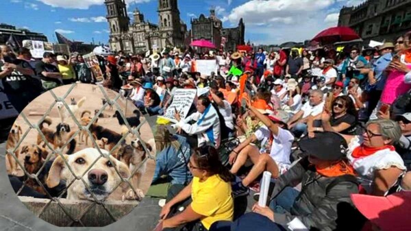 Marchan animalistas contra gobierno de CDMX en defensa de Refugio Franciscano