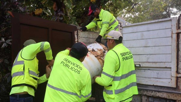 Gobierno de Isla Mujeres fortalece acciones de limpieza con el Programa Permanente de Descacharrización