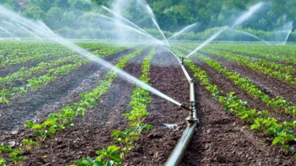 Acuerdan México y EU gestión anual de agua en el río Bravo