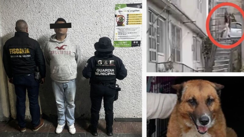 Detienen en el Estado de México a sujeto que arrojó a un perro desde unas escaleras