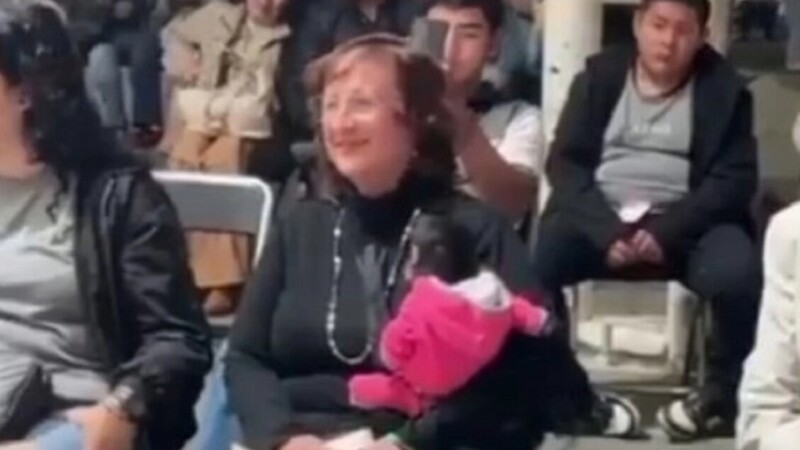 Denuncian a regidora de Ocotlán por posesión ilegal de mono araña