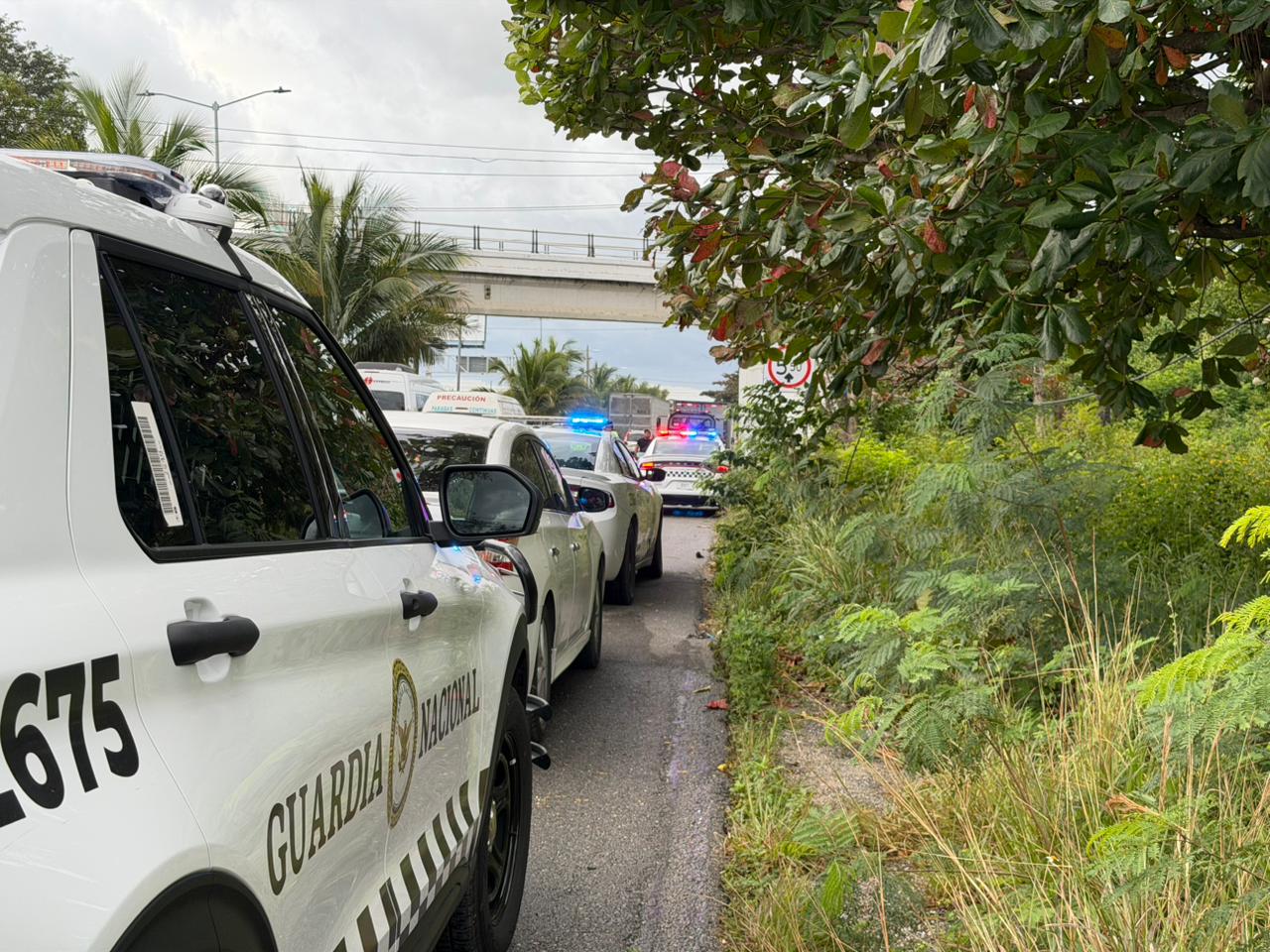 Accidente cobra la vida de un motociclista en la carretera Cancún-Puerto Morelos