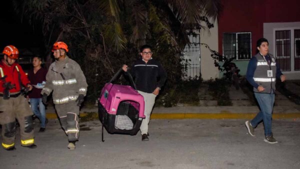 Atiende Ayuntamiento denuncia de maltrato animal en Cancún