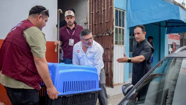Ayuntamiento de BJ atiende denuncia ciudadana y rescata perro en aparente estado de abandono