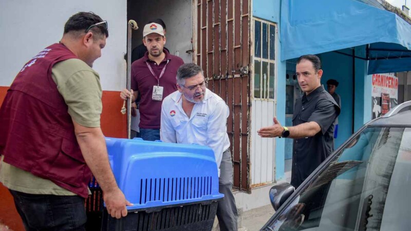 Ayuntamiento de BJ atiende denuncia ciudadana y rescata perro en aparente estado de abandono