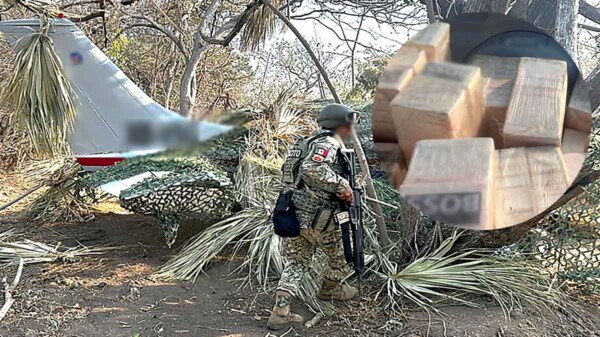Interceptan avioneta con más de media tonelada de cocaína en Oaxaca