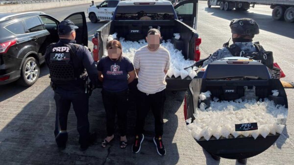 Aseguran cargamento de droga en puesto de revisión de Guanajuato