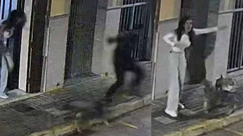 Valiente perrito héroe frustra secuestro y pone a criminal tras las rejas