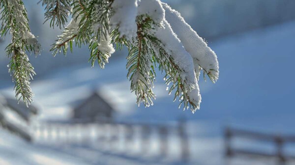 Temporada de frío suma ya siete muertes en México