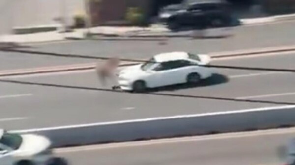 Cámara capta impactante atropellamiento de mujer en Monterrey