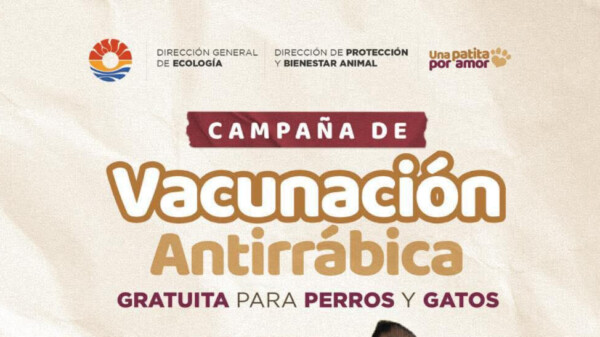INVITA AYUNTAMIENTO DE BENITO JUÁREZ A CAMPAÑA DE VACUNACIÓN ANTIRRÁBICA