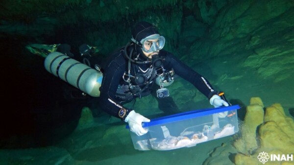 Trasladan fósiles humanos, recuperados en Quintana Roo