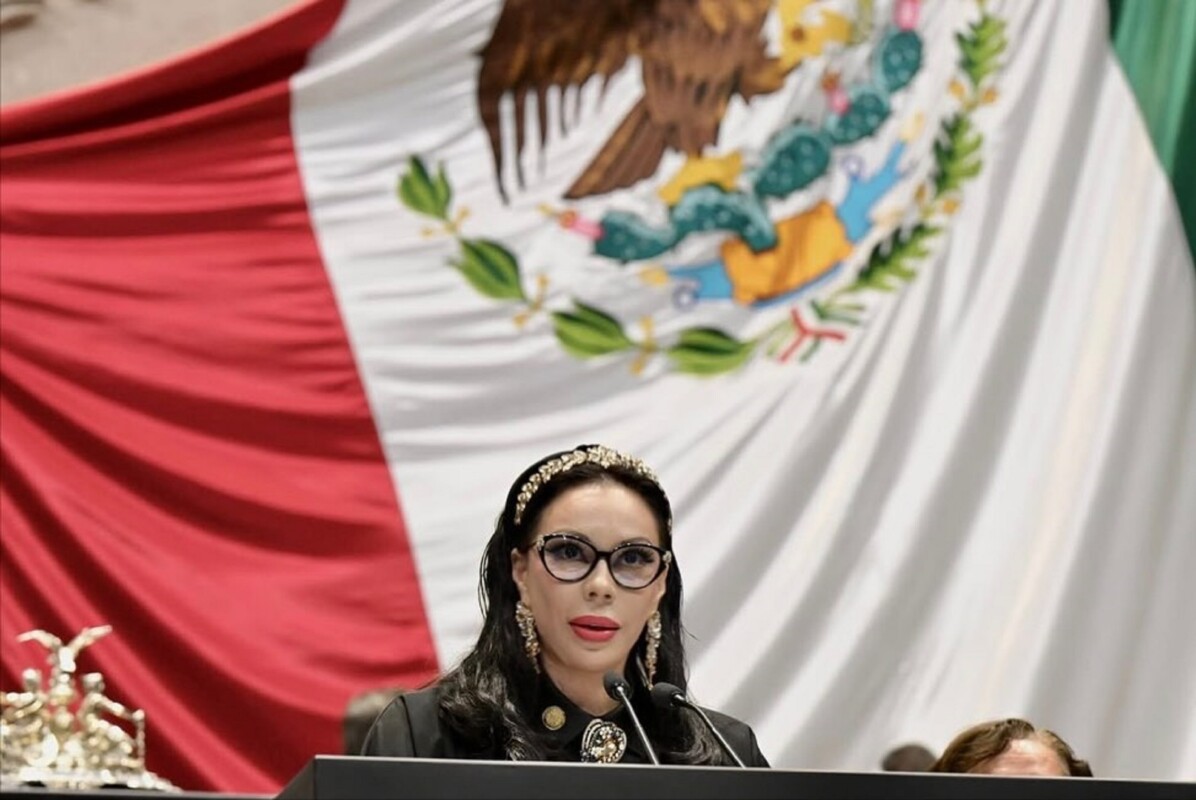 Giselle Arellano Ávila, diputada de Morena que también votó en contra de la reforma electoral.