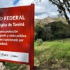 Recupera el INAH 9.22 hectáreas de terreno dentro de la Zona Arqueológica de Toniná