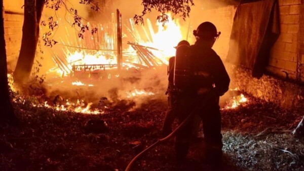 Presunto incendio provocado en un predio de la Supermanzana 240 de Cancún