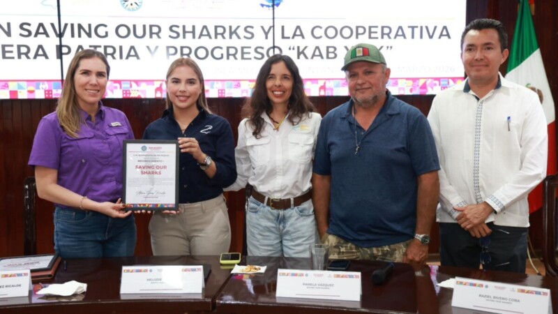 Atenea impulsa acciones para la conservación del tiburón y el desarrollo sostenible en Isla Mujeres