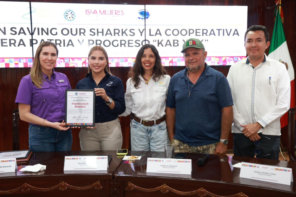 Atenea impulsa acciones para la conservación del tiburón y el desarrollo sostenible en Isla Mujeres