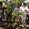 Con cada árbol que sembramos, plantamos un mejor futuro para Cancún: Ana Paty Peralta