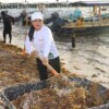 Arranca Blanca Merari jornada permanente de limpieza de playas ante arribo de sargazo