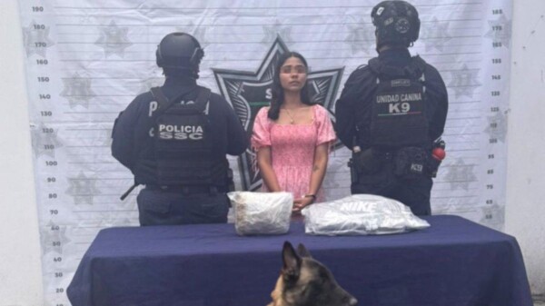 Detienen a mujer con droga en terminal de autobuses de Playa del Carmen