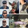 Operativo en la CDMX deja seis narcomenudistas detenidos y decomiso de reptiles