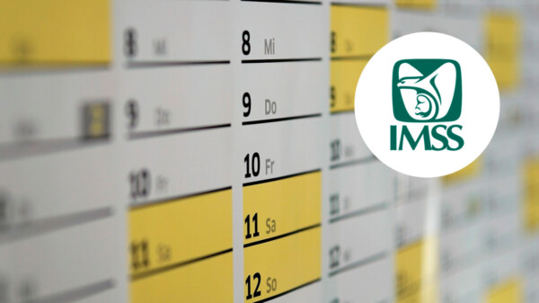Semanas cotizadas IMSS: cómo consultar tu constancia en línea y qué necesitas para obtenerla