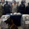 Capturan a beliceño con paquetes de marihuana en Chetumal