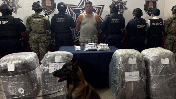 Capturan a beliceño con paquetes de marihuana en Chetumal