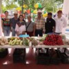 Impulsa Blanca Merari la economía de productores en Puerto Morelos en la segunda edición de “Mercado Local - Nuestra Cosecha”