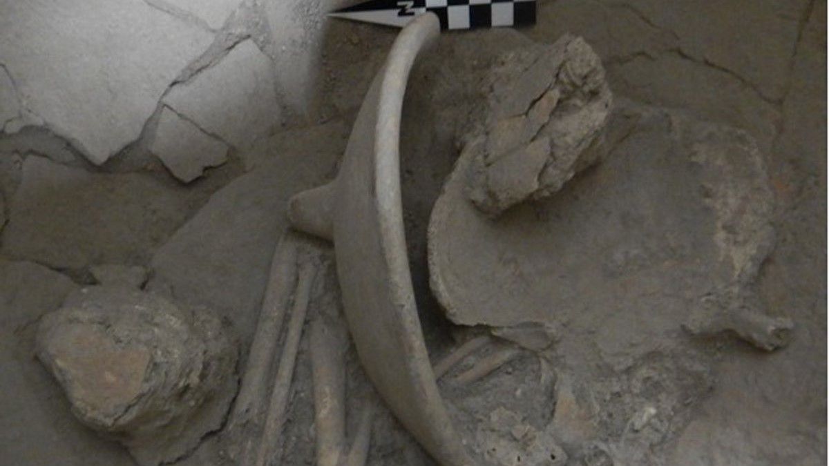 Estudian urnas funerarias recuperadas en el salvamento arqueológico en Cansacbé, Campeche,