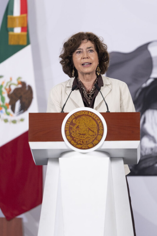 Rosaura Ruiz, secretaria de Ciencia, Humanidades, Tecnología e Innovación.