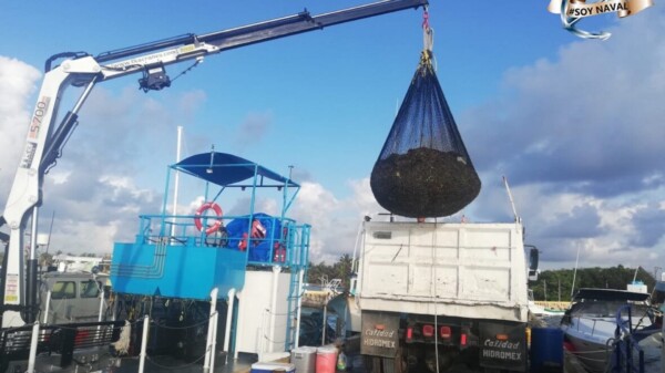 Nueva embarcación recolectará sargazo en el Caribe mexicano