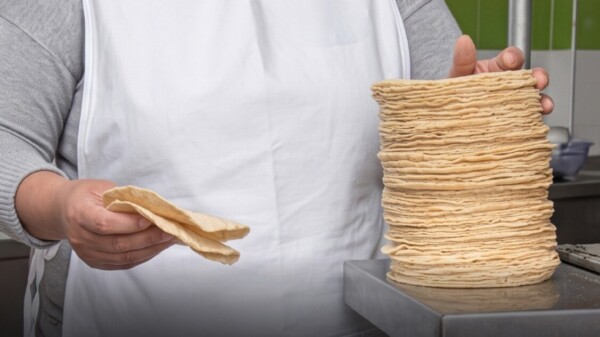 Desmienten aumento al precio de la tortilla
