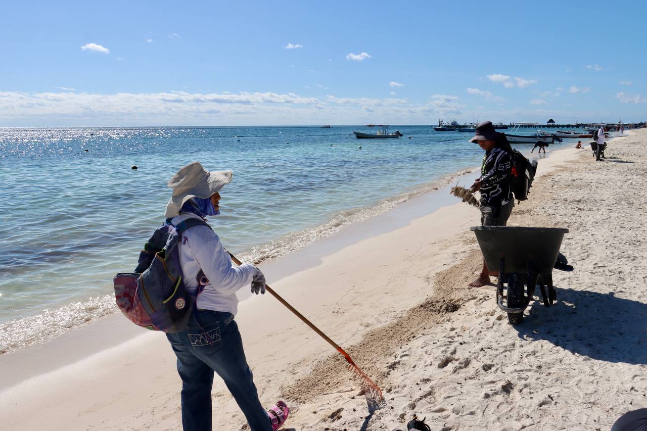 Refuerza Blanca Merari limpieza de playas de Puerto Morelos ante alta ocupación turística en Semana Santa. Con atención diaria a más de 2 km de arenales, maquinaria especializada y 40 trabajadores en zona para el control del sargazo, se garantiza una experiencia de calidad a visitantes locales y extranjeros durante esta temporada vacacional.