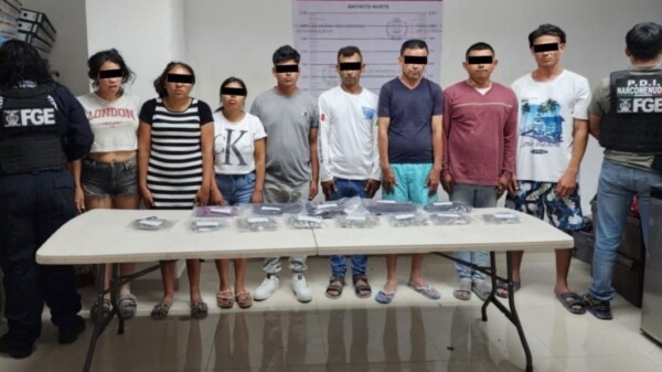 Capturan a ocho personas relacionadas con un grupo criminal en isla Holbox