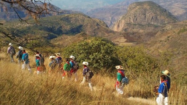 Devuelven al pueblo Wixárika 44 títulos de concesión minera