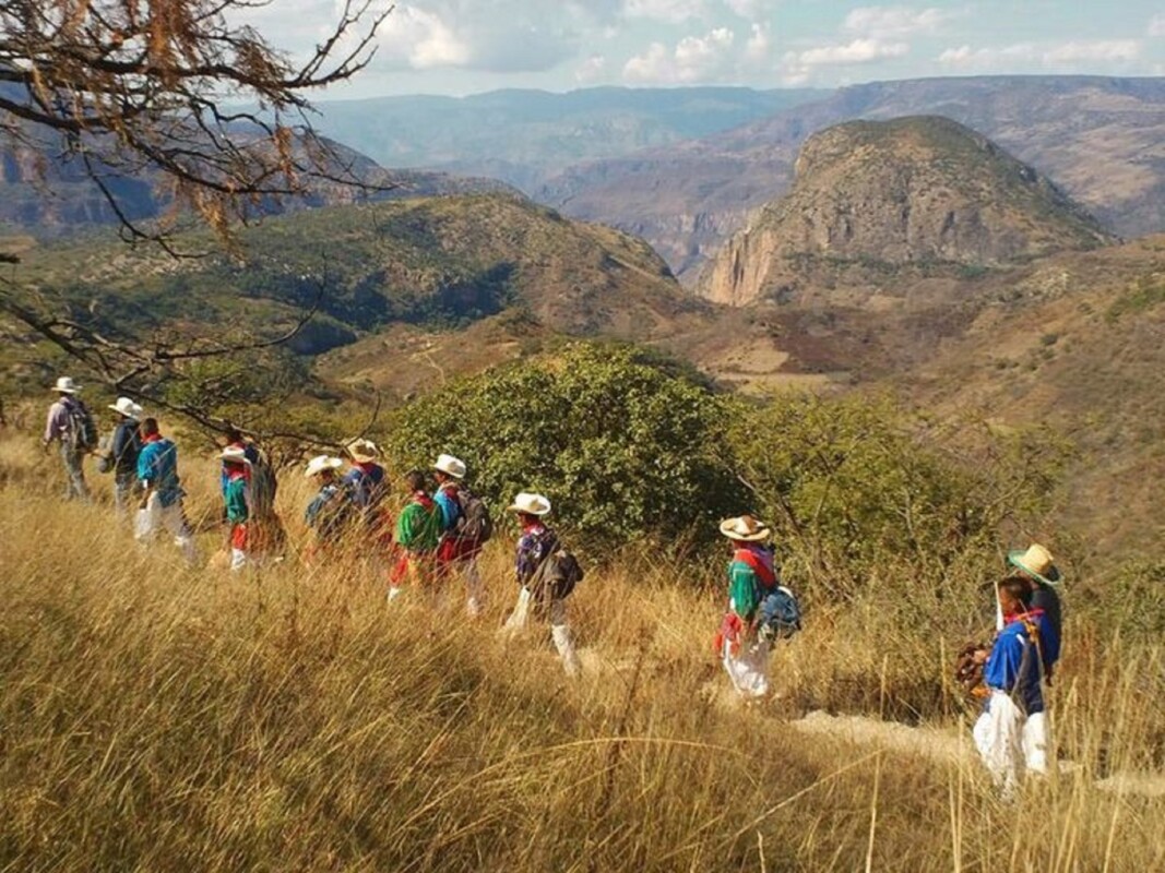 Devuelven al pueblo Wixárika 44 títulos de concesión minera