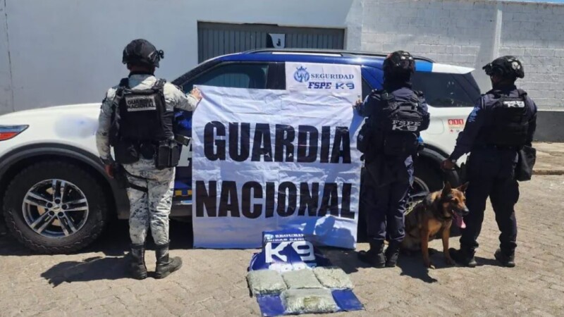 Aseguran más de 13 mil dosis de marihuana en paqueterías de Guanajuato