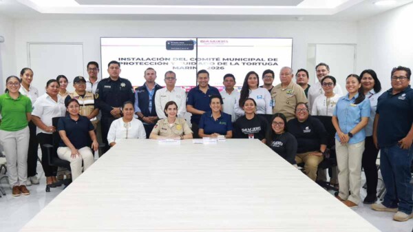 Gobierno de Isla Mujeres instala Comité para proteger a la tortuga marina en la temporada 2026