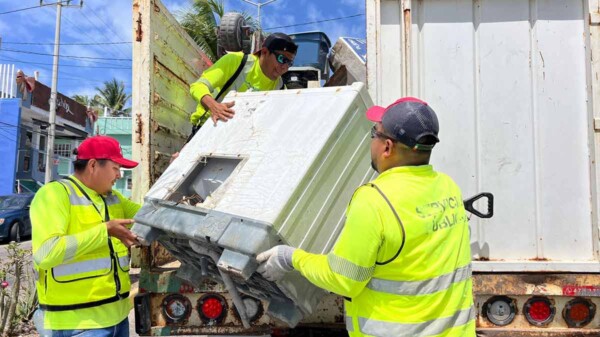 Gobierno de Isla Mujeres refuerza acciones permanentes para prevenir el dengue
