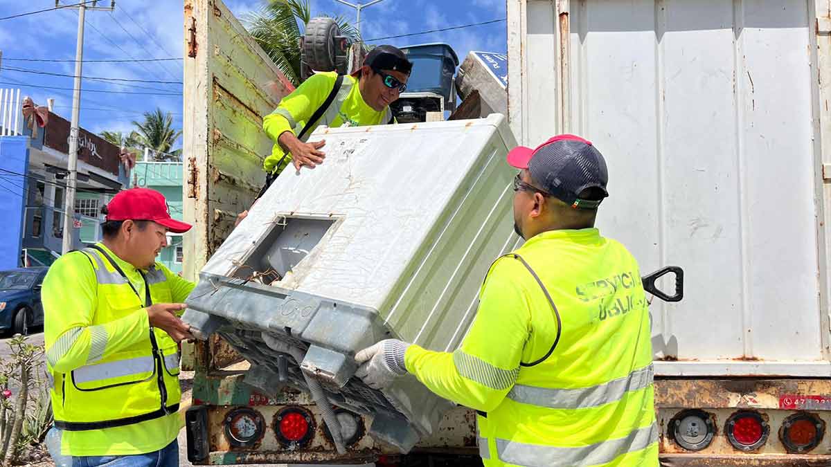 Gobierno de Isla Mujeres refuerza acciones permanentes para prevenir el dengue