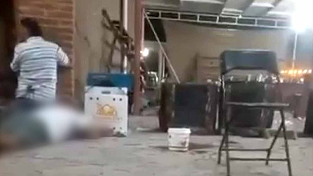 Ataque armado en pelea ilegal de gallos en Querétaro deja cinco fallecidos