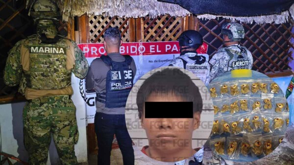 Operativo conjunto deja un detenido y decomiso de drogas en Quintana Roo