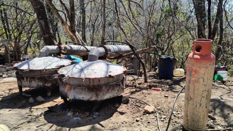 Desmantelan laboratorio clandestino de drogas en Sinaloa