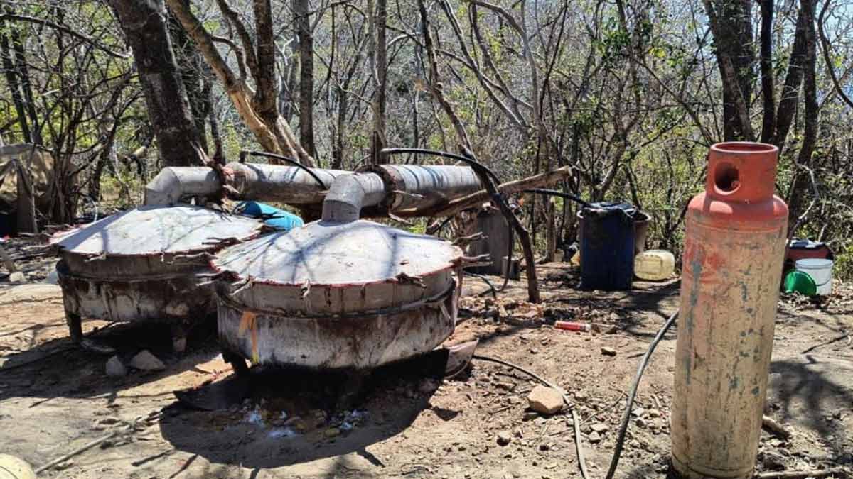 Desmantelan laboratorio clandestino de drogas en Sinaloa