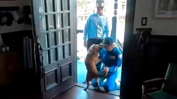 Ni la distancia a la Luna pudo romper este vínculo de amor entre astronauta y su perrita